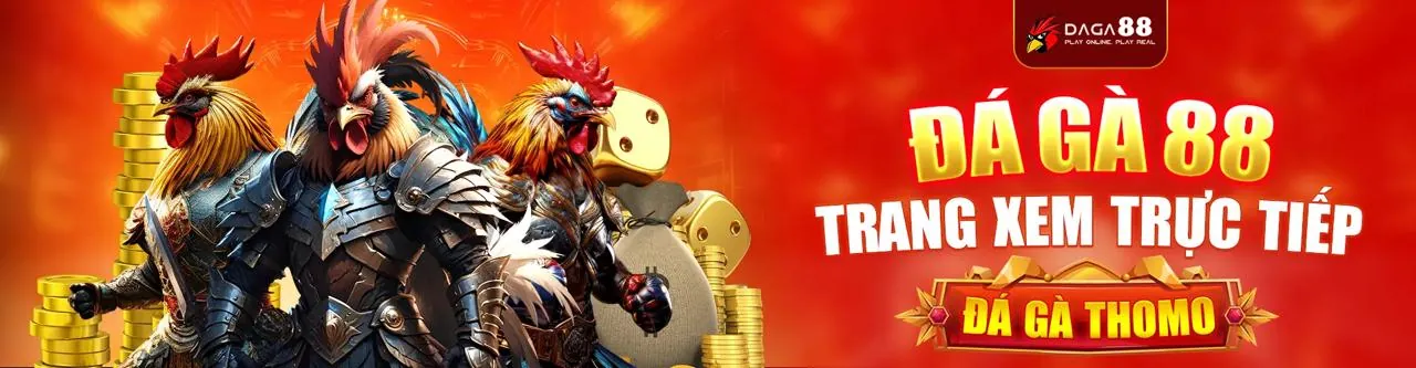 Đá gà trực tuyến 8qbet Code - Sân đấu kịch tính
